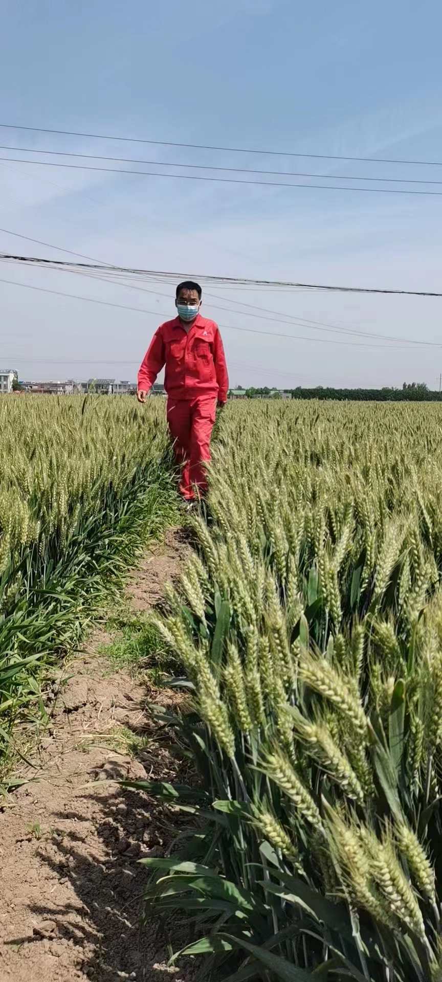 用心守護管道安全，全力保障豫北能源“生命線”——安彩能源開展安全檢查百里行主題黨日活動